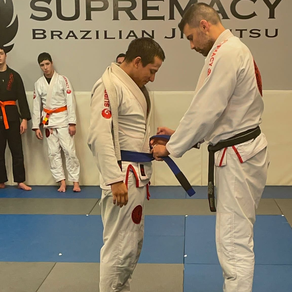 Rolando BlueBelt